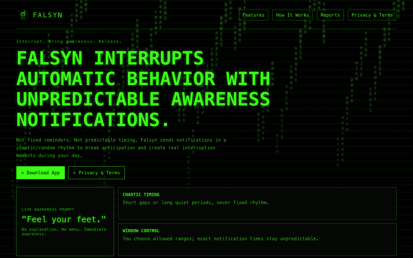 Screenshot of Falsyn